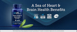 Life Extension Super Omega-3 EPA/DHA Fish Oil, Sesame Lignans & Olive Extract – Heart Health, Brain Health, Inflammation Health Support, Gluten-Free, Enteric-Coated, Non-GMO, 120 Softgels