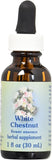 Flower Essence Services White Chestnut Herbal Supplement - 1 Ounce Dropper