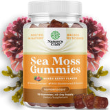 Sea Moss Gummies for Adults and Kids - Vegan Immune Support with Burdock Bladderwrack - 60 Count