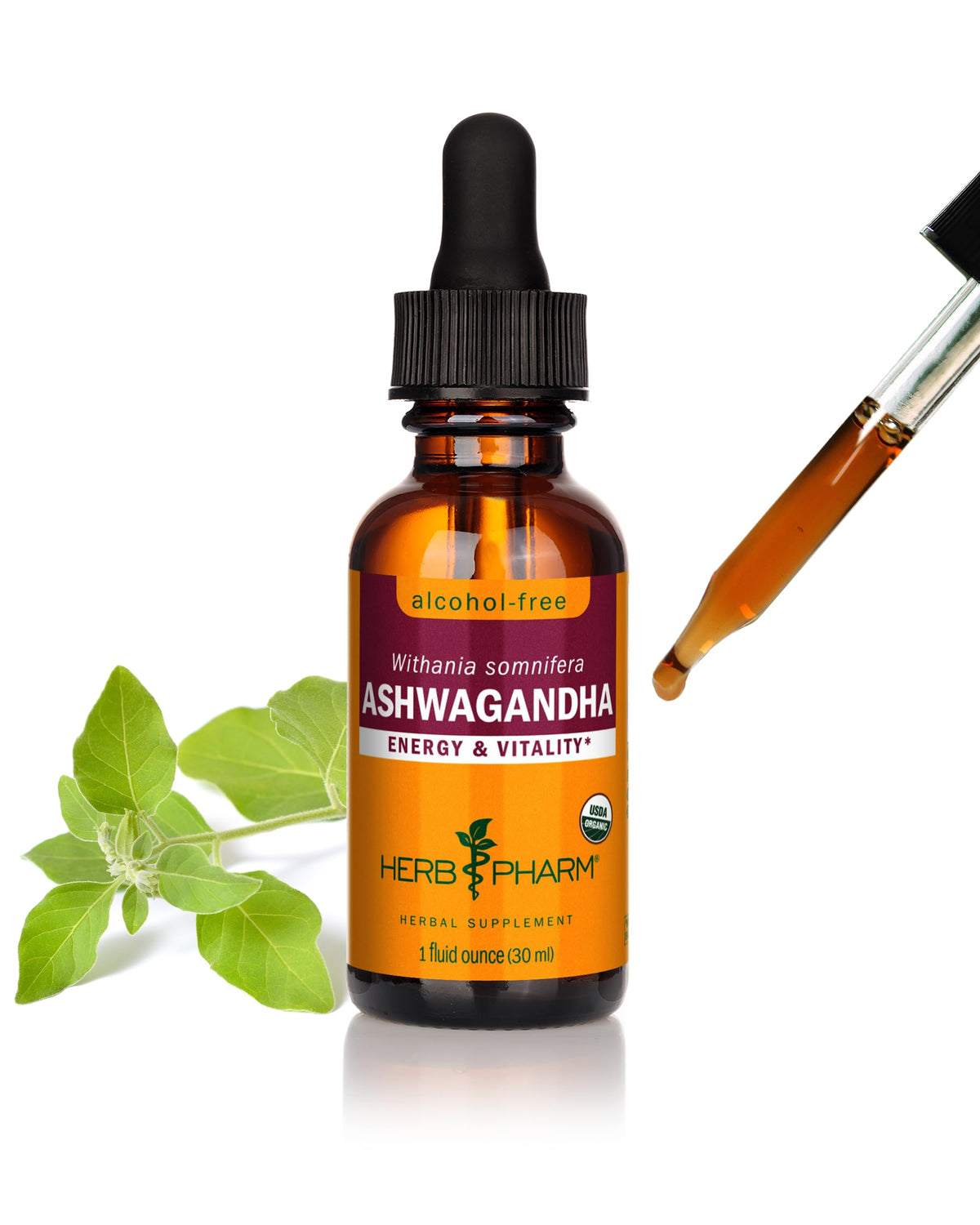 Alcohol-Free Ashwagandha Liquid Extract - Energy & Vitality Support | 1 oz