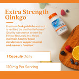 Doctor's Best Extra Strength Ginkgo Biloba 120 mg, 360 Vegan Caps