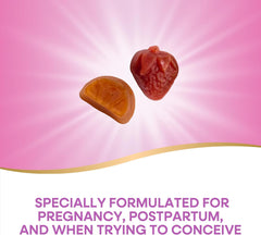 Nature's Way Alive! Prenatal Multivitamins, Plant Based DHA for Baby's Healthy Brain &amp; Eye Development*, Vegetarian, Orange and Raspberry Lemonade flavors, 90 Gummies (قد تختلف العبوة)