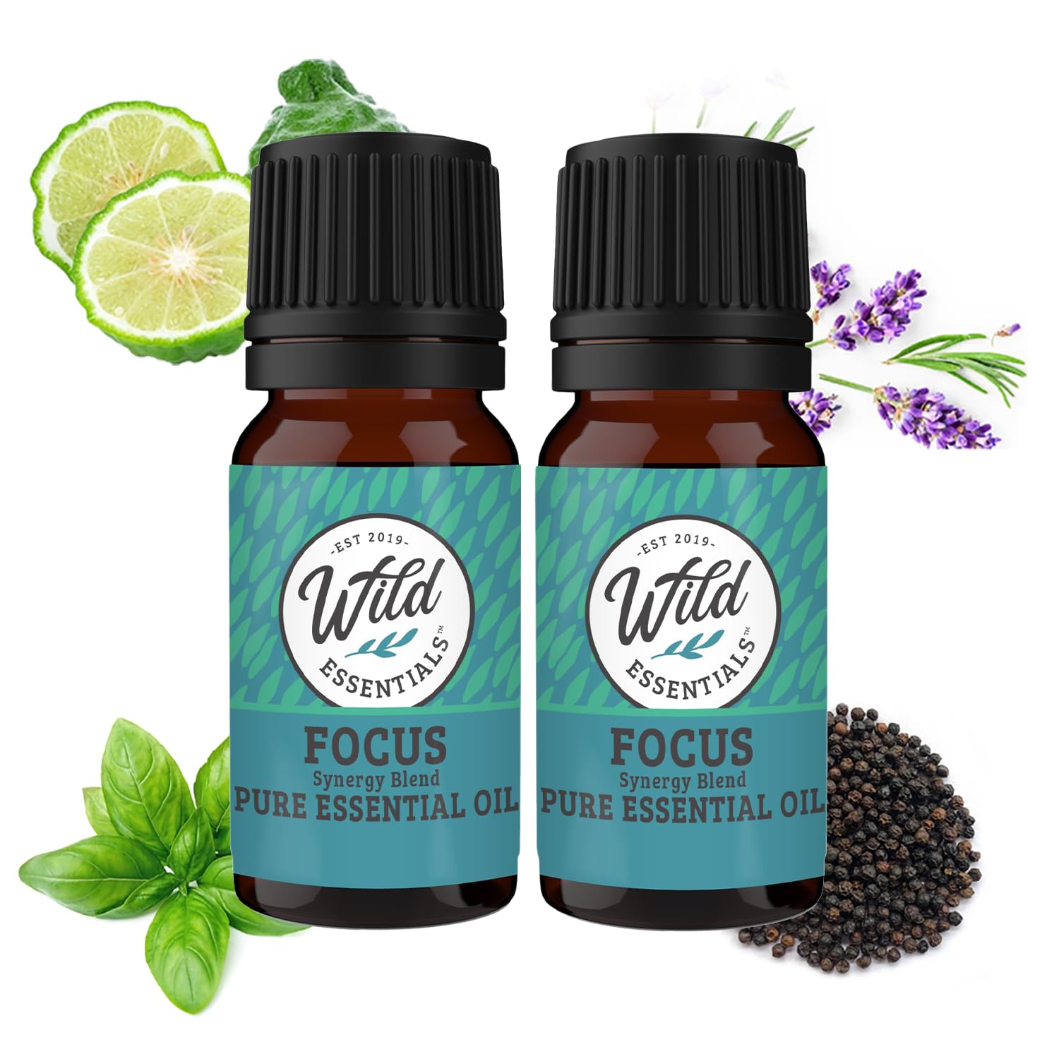 Wild Essentials Focus 100% Pure Essential Oil Synergy Blend - 2 Pack 10ml for Mental Clarity & Concentration