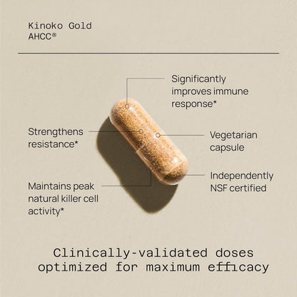 Premium Kinoko Gold AHCC Supplement–500mg of AHCC per Capsule–Supports Immune Health, Liver Function, Maintains Natural Killer Cell Activity & Enhances Cytokine Production–60 Veggie Capsules