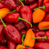 فلفل شيبوتلي (Chipotle Pepper) العضوي المطحون - 2.15 أونصة - تابل مدخن للنكهات المكسيكية والجنوبية الغربية الأصيلة