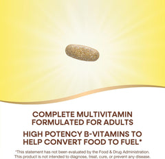 Nature's Way Alive! Daily Energy Multivitamin 22 Vitamins and Minerals 60 Tablets
