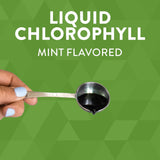 chlorofresh سائل مع نكهة النعناع، مكمل غذائي لالتدتوكس والطاقة، 473.2 مل.