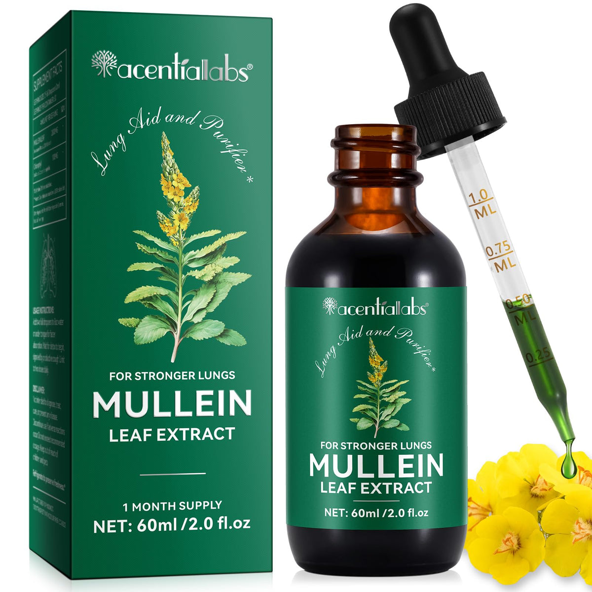 Organic Mullein Leaf Drops for Lung Health - 2 fl Oz (60ml) | Supports Breathing & Lung Cleanse