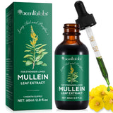 Organic Mullein Leaf Drops for Lung Health - 2 fl Oz (60ml) | Supports Breathing & Lung Cleanse