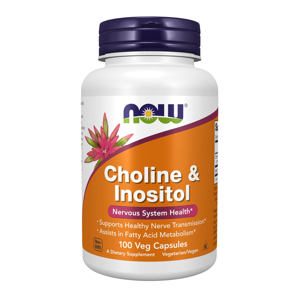 NOW Choline and Inositol Vitamin Capsules 500mg - 100 Count | Brain & Mood Support