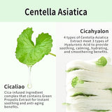 VT COSMETICS Deer CICA Nosebum Powder: Oil Control & Matte Finish Face Powder (5g)