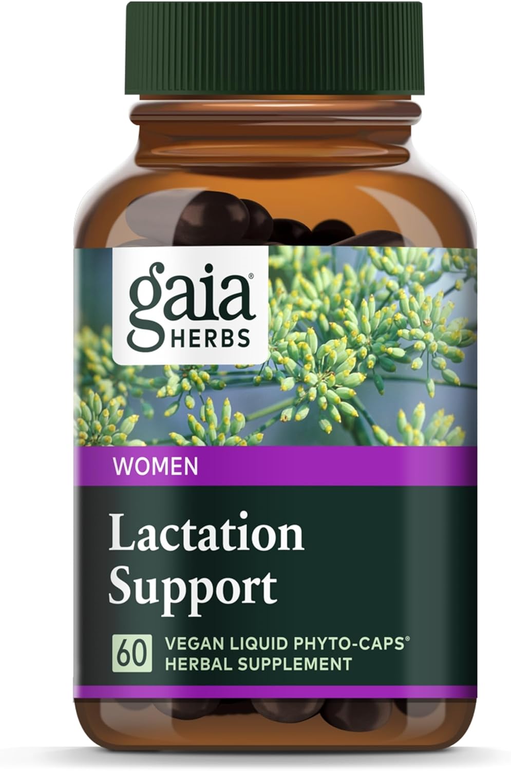 Gaia Herbs SystemSupport دعم الرضاعة - تدفق صحي للحليب، ٦٠ كبسولة