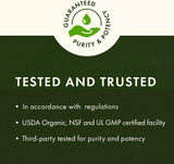 Swanson Sage 10:1 Extract: Powerful Herbal Support (100 Capsules)