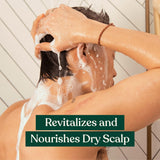 The Body Shop Ginger Anti-Dandruff Shampoo - 250ml