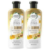 Herbal Essences Bio : Renew duo للشعر الناعم اللامع (١٣٫٥ + ١٢٫٢ أوقية سائلة)