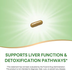Nature's Way Milk Thistle, Supports Liver Function and Detoxification Pathways*, 175 mg Milk Thistle Seed Extract Standardized to 80% Silymarin per Serving, 120 Capsules (Packaging May Vary)