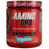 iSatori Amino-Gro Blue Razz Snow Cone 30 Servings - BCAA Amino Acid Supplement