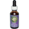 قطارة جوهر زهرة الثوم (Garlic Flower Essence Dropper) من خدمات جوهر الزهور (FES) - 1 أونصة سائلة - للطاقة الوقائية والحيوية