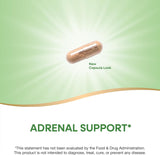 Nature's Way ADRENergize with Adrenal Cortex & Whole Adrenal, Energy Support*, 50 Capsules