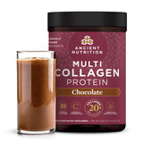 Ancient Nutrition Multi Collagen Protein Powder by Dr. Axe (Chocolate, 525g)