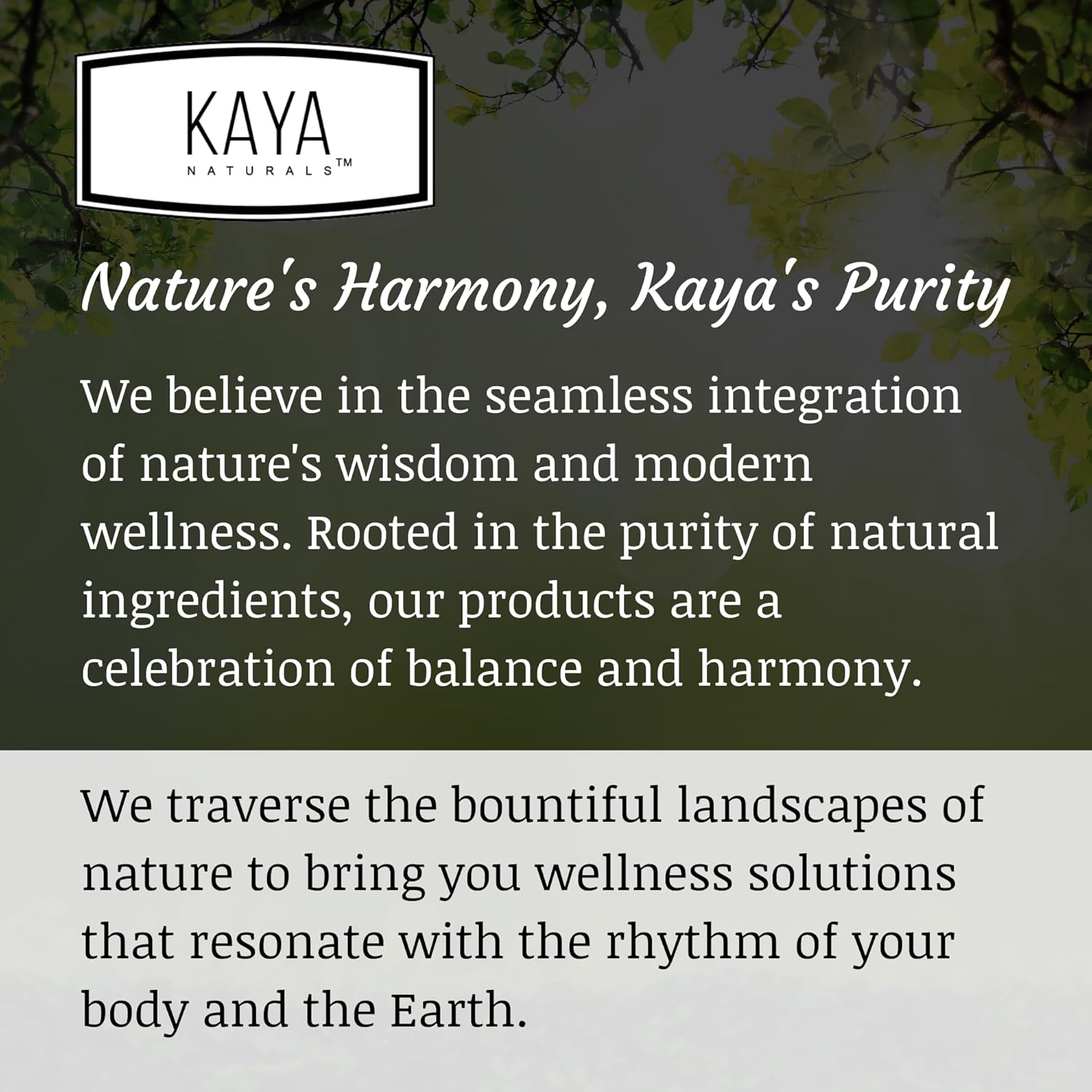 Kaya Naturals Ultra Testosterone، مع Tongkat Ali و Horny Goat Weed