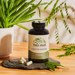 TERRA ORIGIN - Digestive Enzymes with Probiotics | Supports Healthy Digestion | Bromelain, Lactase, Amylase, Lipase | Made in The USA, Gluten-Free | 60 Servings