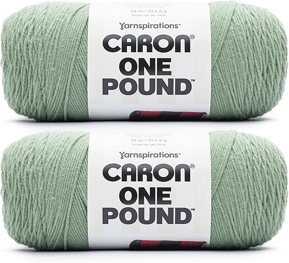 "Caron One Pound Succulent Yarn (2-Pack) - Bulky Acrylic Yarn for Knitting & Crochet"