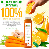 3 Day Juice Cleanse by Raw Fountain، 18 زجاجة 12 أونصة، 3 shots of ginger.