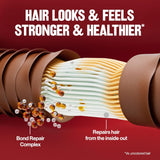 Revlon ColorSilk - صبغة شعر دائمة، لون بنى ذهبي غامق مع مجمع إصلاح الرابطة.