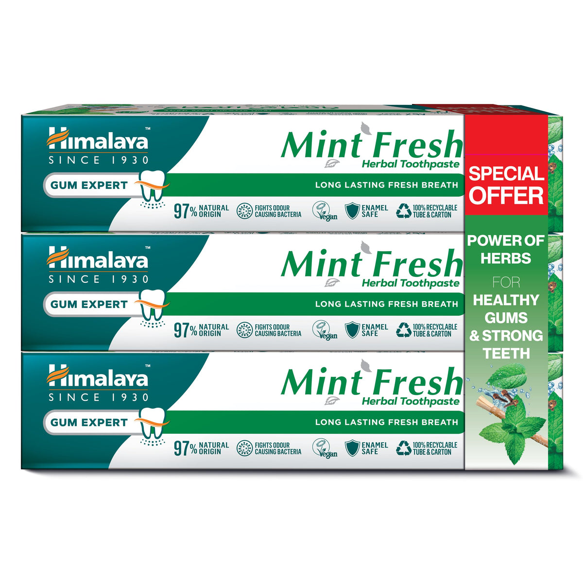 Himalaya Mint Fresh Herbal Toothpaste - 300ml Fresh Breath Formula