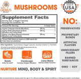 Genius Mushroom supplement: Lions Mane, Cordyceps, and Reishi for immune and brain health.