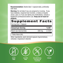 Nature's Way Niacinamide, Non-Flushing Vitamin B3, Supports Cellular Energy*, 500 mg per Serving, 100 Capsules (Packaging May Vary)