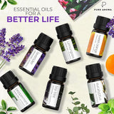 Pure Aroma Essential Oils 100 Therapeutic Grade Oils Kit Top 6 Aromatherapy Oils Gift Set 6 Pack 10mleucalyptus Lavender Lemon Grass Orange Peppermint Tea Tree