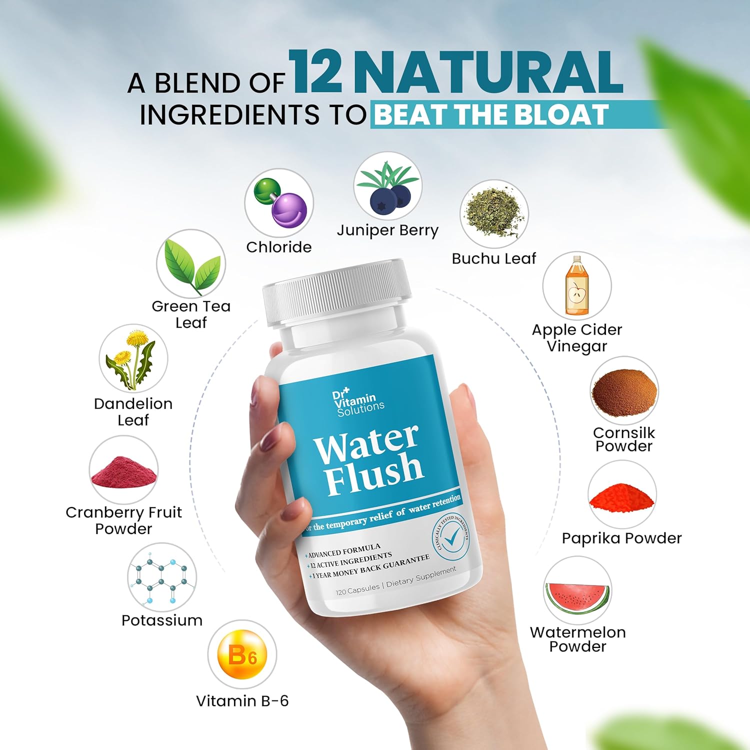 Diuretic water pills with green tea and cranberry for weight control and bloating relief