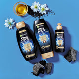 Garnier Ultra Doux Black Charcoal & Nigella Oil Detox Shampoo