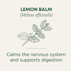 Traditional Medicinal Lemon Balm, 16 Teabags