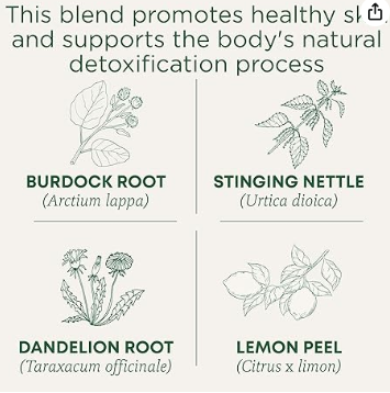 شاي Everyday Detox العضوي، 16 كيس شاي، لدعم صحة الجلد والكبد.