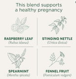 شاي الحمل العضوي من Traditional Medicinals، 16 كيس شاي، لدعم الحمل الصحي.