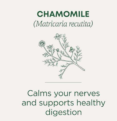 شاي الكاموميل العضوي من Traditional Medicinals، 16 كيس شاي، لتهدئة الأعصاب.