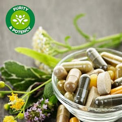 Swanson Milk Thistle - 100 Capsules - Herbal Liver Support Supplement for Overall Health and Wellbeing